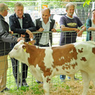 Tierfest Ho__chst 30-05-2015 81.jpg