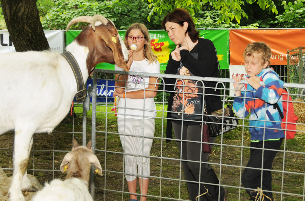 Tierfest Ho__chst 30-05-2015 87.jpg