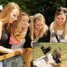 Tierfest Ho__chst 30-05-2015 211.jpg