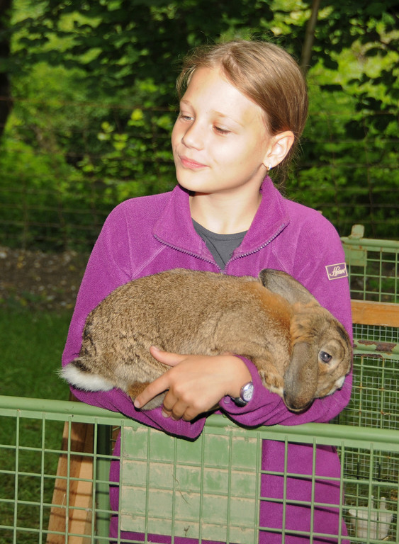 Tierfest Ho__chst 30-05-2015 100.jpg