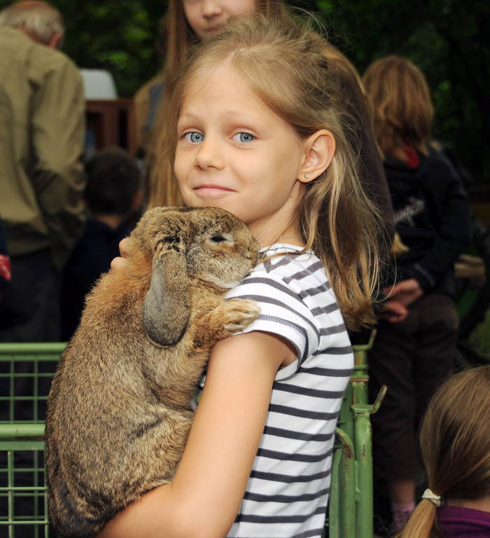 Tierfest Ho__chst 30-05-2015 103.jpg