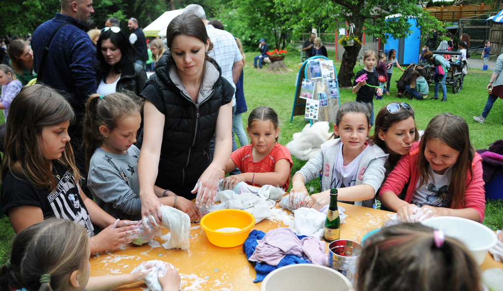 Tierfest Ho__chst 30-05-2015 129.jpg