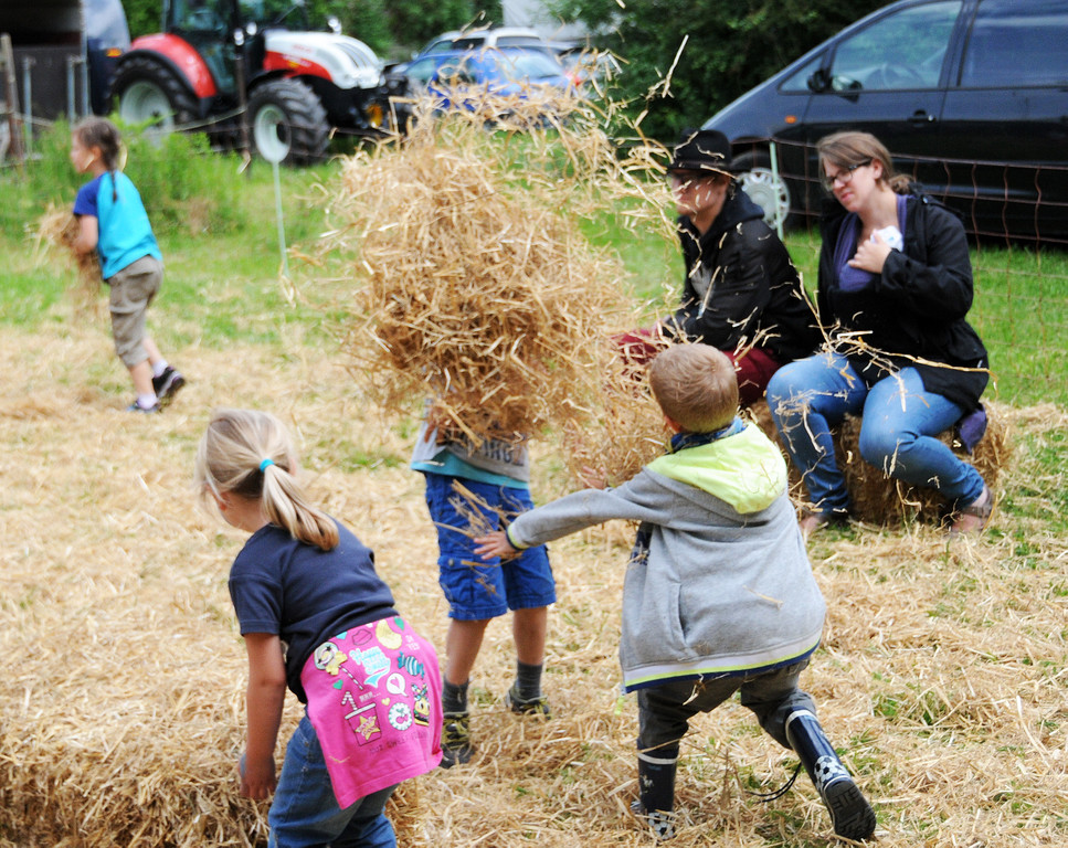 Tierfest Ho__chst 30-05-2015 135.jpg