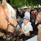 Tierfest Ho__chst 30-05-2015 157.jpg