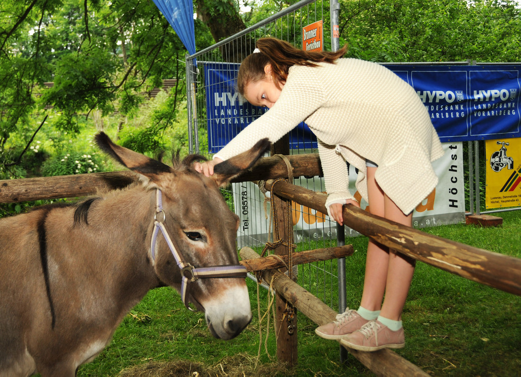 Tierfest Ho__chst 30-05-2015 164.jpg