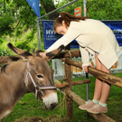 Tierfest Ho__chst 30-05-2015 164.jpg