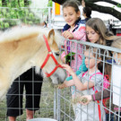 Tierfest Ho__chst 30-05-2015 178.jpg