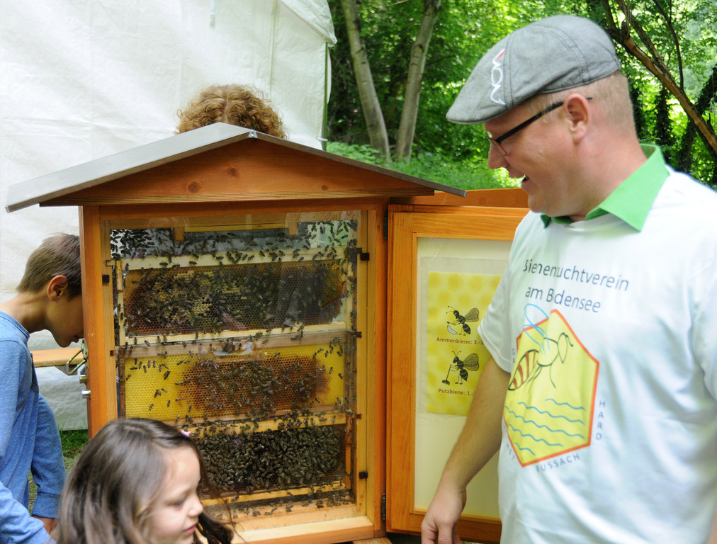 Tierfest Ho__chst 30-05-2015 225.jpg