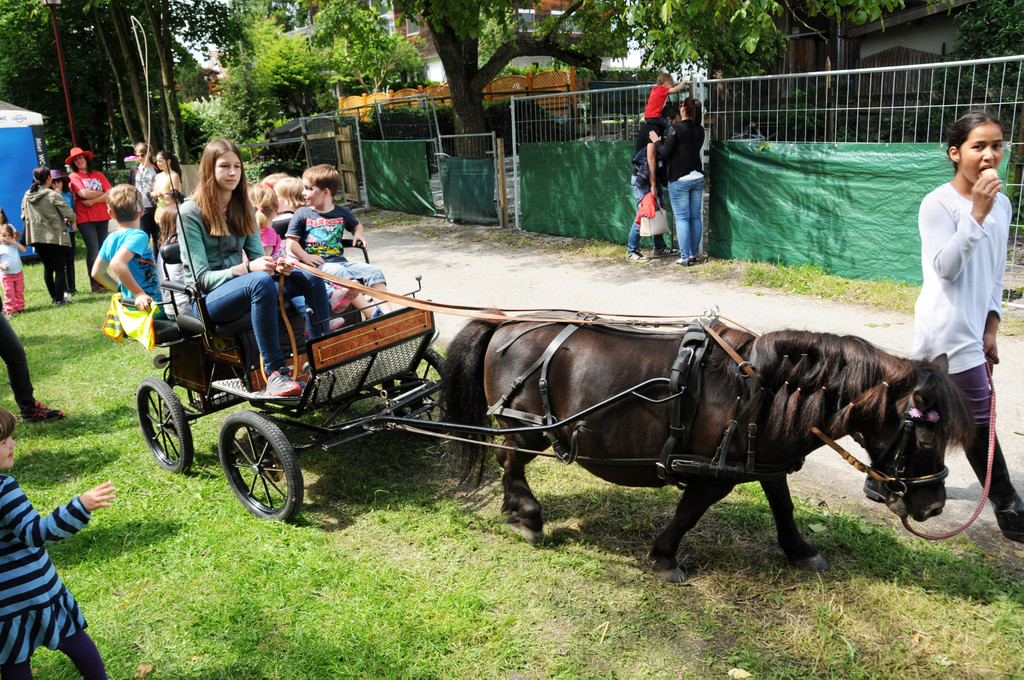 Tierfest Ho__chst 30-05-2015 244.jpg