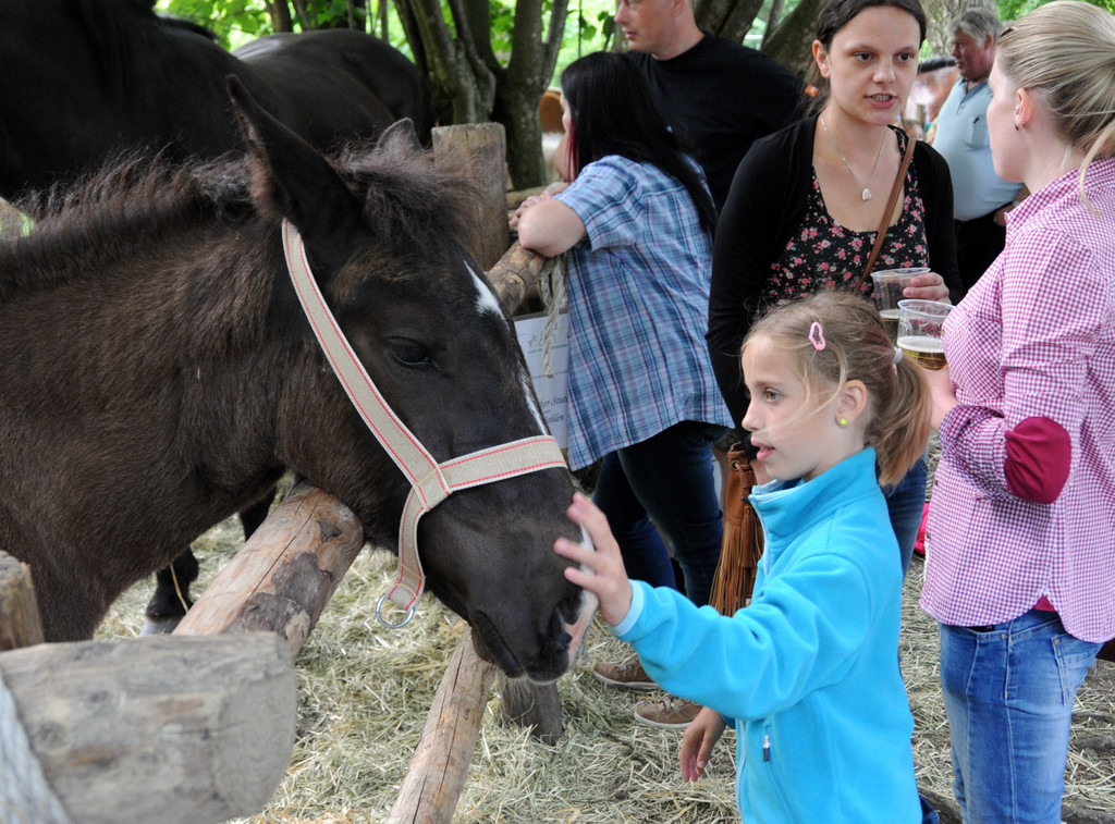 Tierfest Ho__chst 30-05-2015 267.jpg