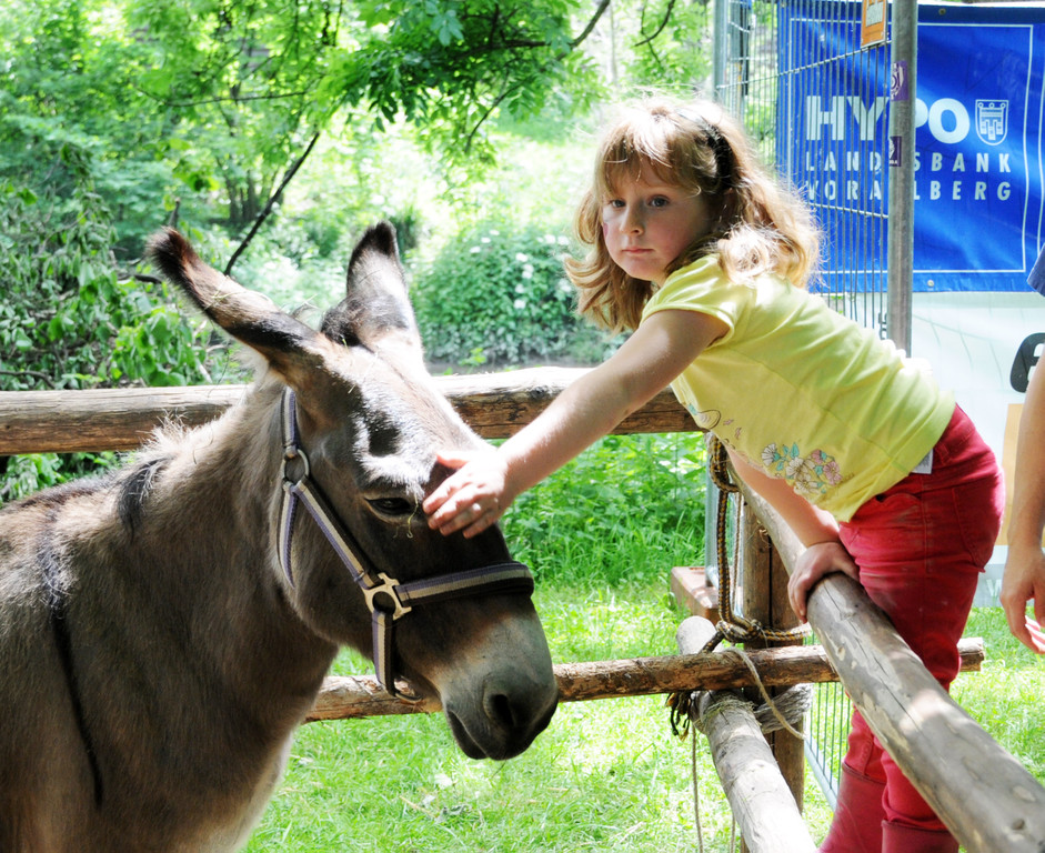 Tierfest Ho__chst 30-05-2015 274.jpg