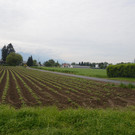 Landesradroute Wolfurt