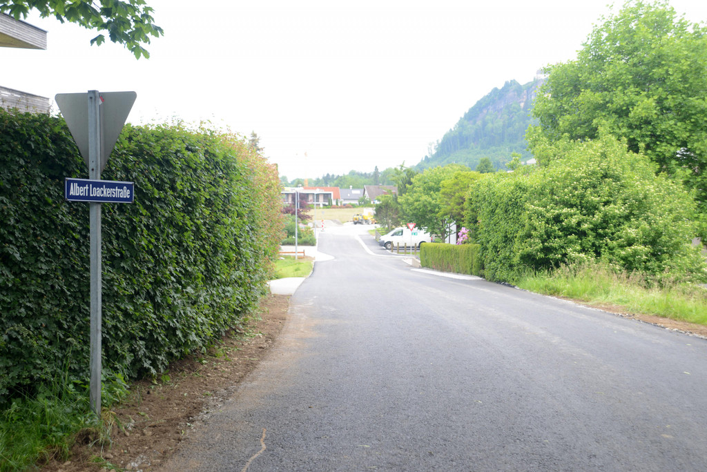 DSC_5266.jpg