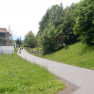 DSC_5277.jpg