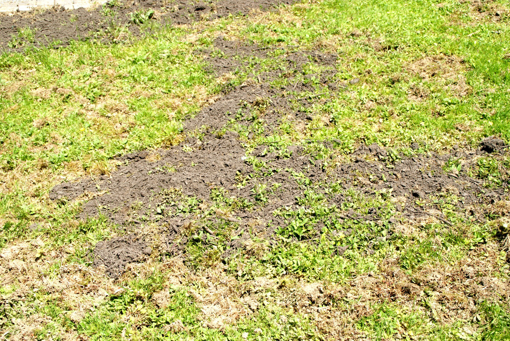 Deutlich sind die Ausgrabungsst__tten zu sehen.JPG