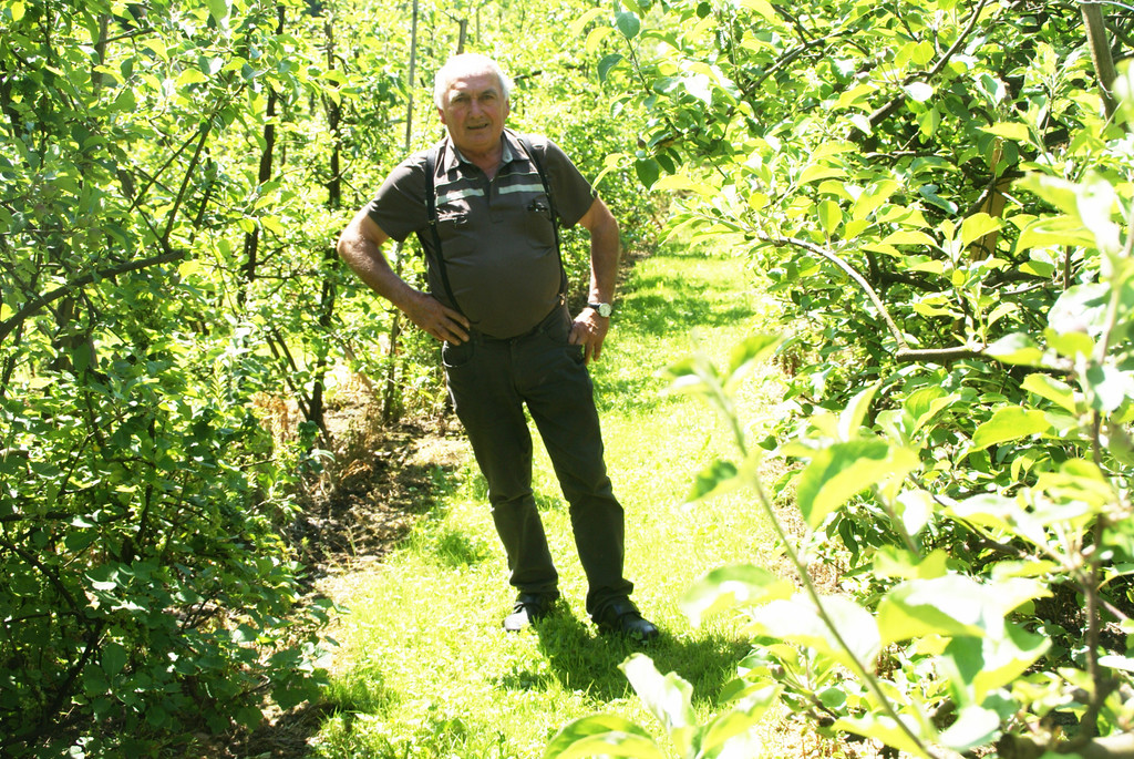 Toni Schiefer in seiner Obstplantage.JPG