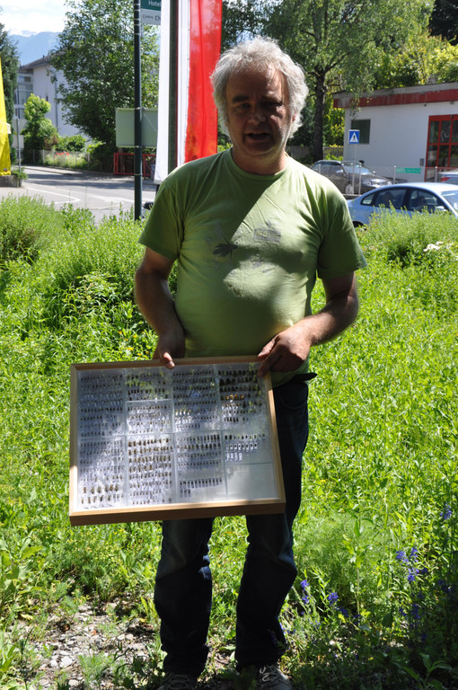 DSC_0036.JPG
