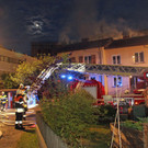 IMG_4557.JPG