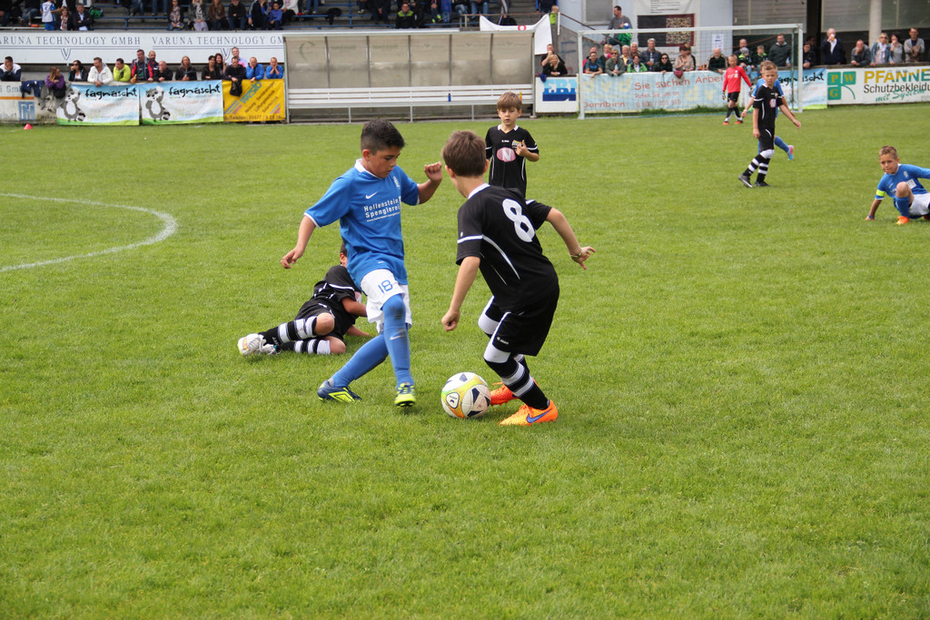 F__gn__scht_U9 109 - Kopie.JPG