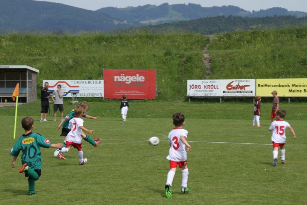 IMG_8765-Medium.jpg