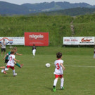 IMG_8765-Medium.jpg