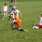IMG_8773-Medium.jpg