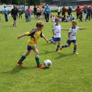 IMG_8781-Medium.jpg