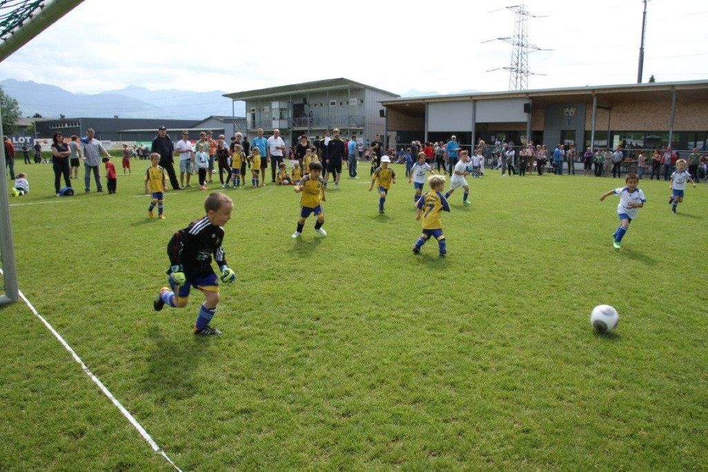 IMG_8786-Medium.jpg