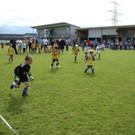 IMG_8786-Medium.jpg