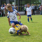 IMG_8794-Medium.jpg