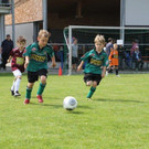 IMG_8798-Medium.jpg