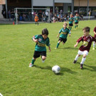 IMG_8804-Medium.jpg
