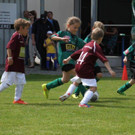 IMG_8823-Medium.jpg