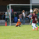 IMG_8826-Medium.jpg