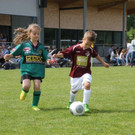 IMG_8828-Medium.jpg