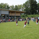 IMG_8838-Medium.jpg