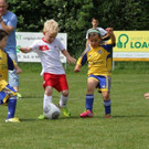 IMG_8845-Medium.jpg