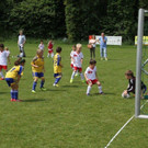 IMG_8850-Medium.jpg