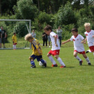IMG_8854-Medium.jpg