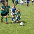IMG_8863-Medium.jpg