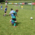 IMG_8864-Medium.jpg
