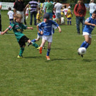 IMG_8877-Medium.jpg