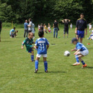 IMG_8878-Medium.jpg