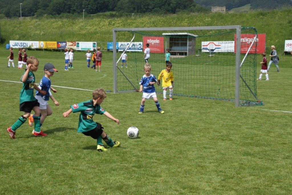 IMG_8882-Medium.jpg