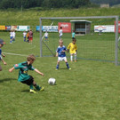 IMG_8882-Medium.jpg