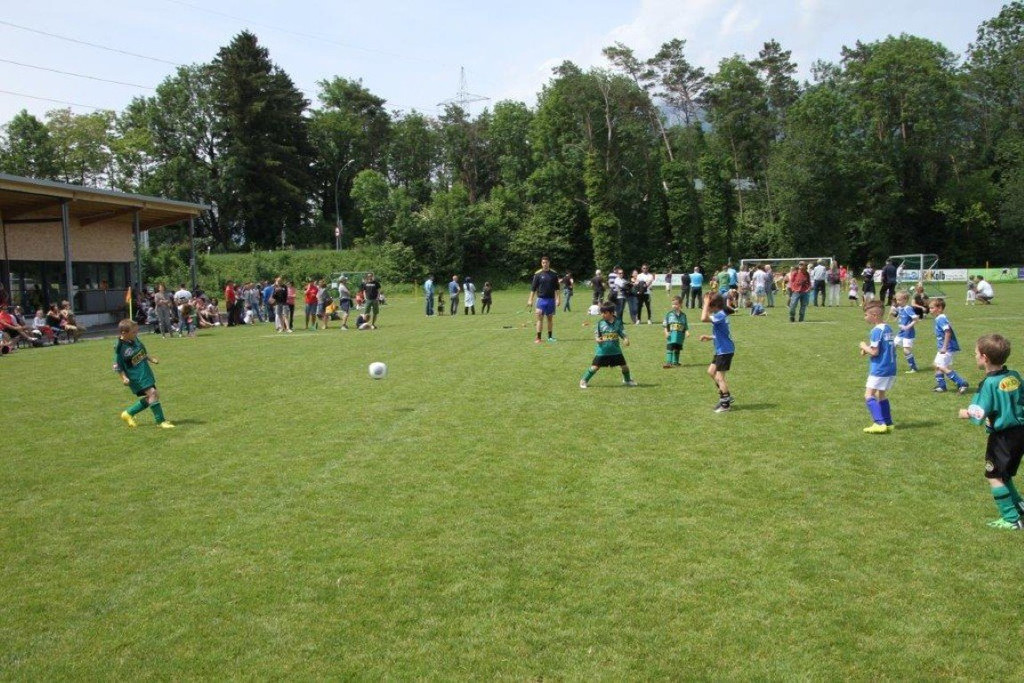 IMG_8890-Medium.jpg