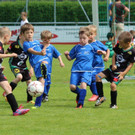 IMG_2765.jpg