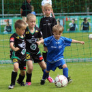 IMG_2772.jpg