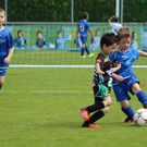 IMG_2777.jpg