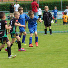 IMG_2788.jpg